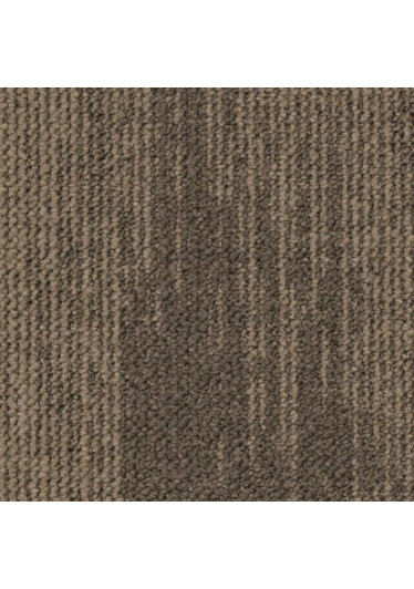 Essence Structure Desso Carpete Placas Afrel Ref. 710400007
