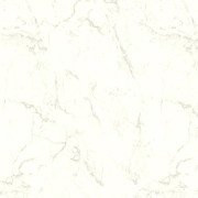 ProtectWall Marble Carrare