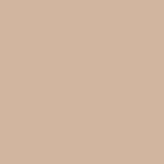 ProtectWall Uni Terracotta