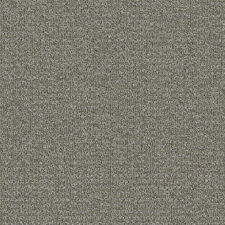 Carpete Placa Explore Adventure - 301