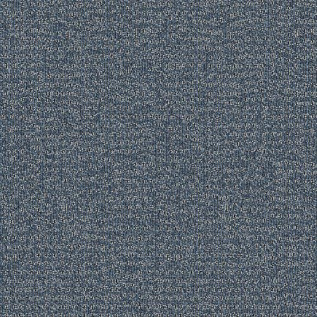 Carpete Placa Explore Adventure - 303