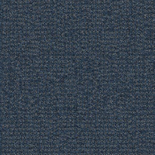 Carpete Placa Explore Adventure - 304