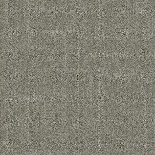 Carpete Placa Explore Journey - 101