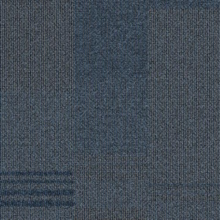 Carpete Placa Explore Odyssey - 404