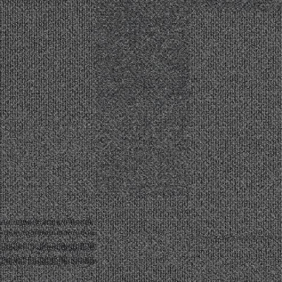 Carpete Placa Explore Odyssey - 406